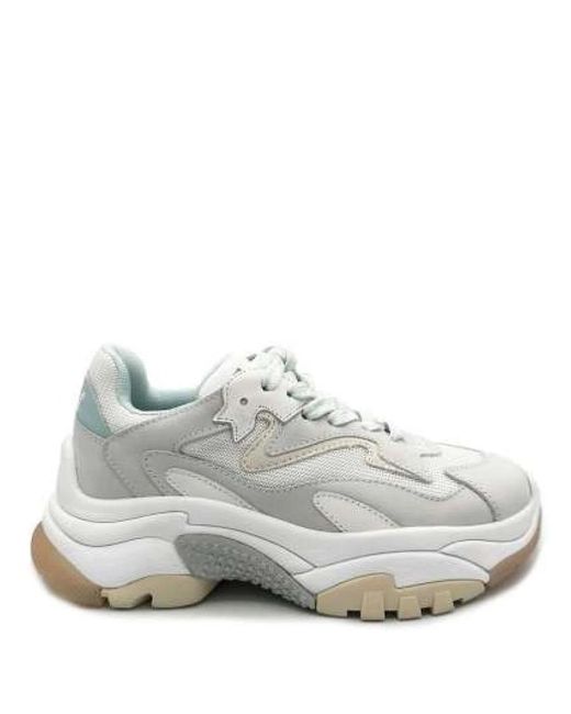 Ash Gray Sneakers