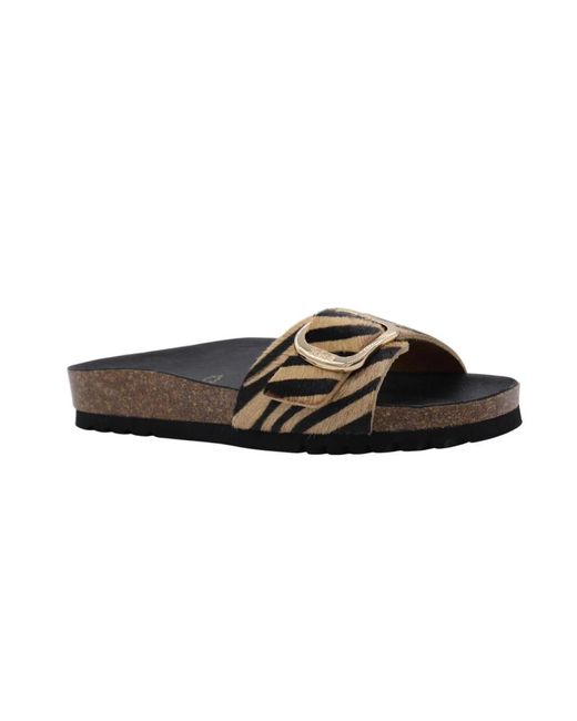 Sliders Scholl en coloris Brown