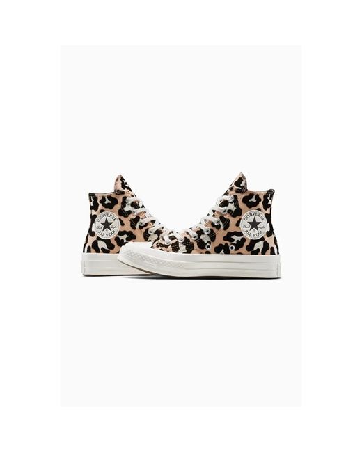 Converse Sneakers in het Multicolor