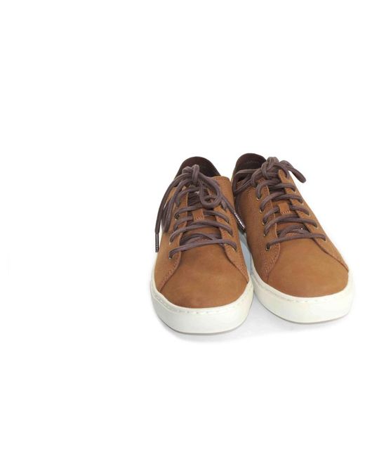 Timberland Brown Sneakers for men