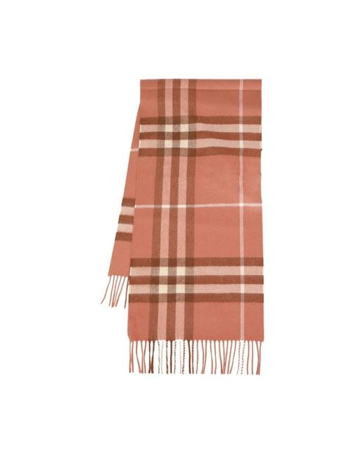 Burberry Brown Winter Scarves