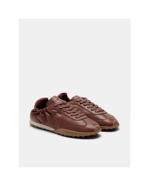 HOFF Brown Bridge Sneaker