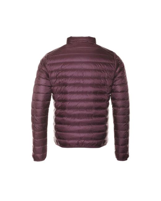 Down Jackets di J.O.T.T in Purple da Uomo