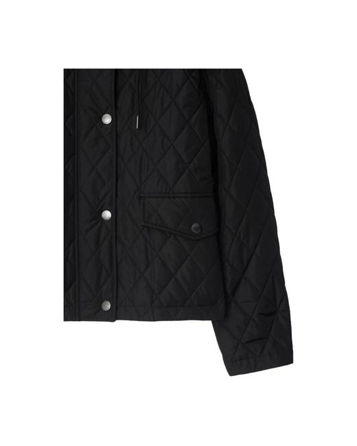 Burberry Black Winter Jackets