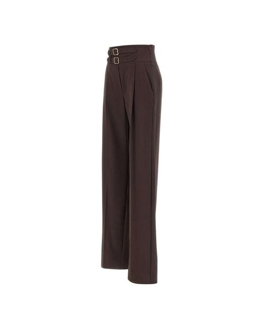Marella Maranta Broek in het Brown