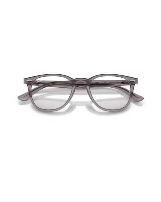 Ray-Ban Gray Glasses