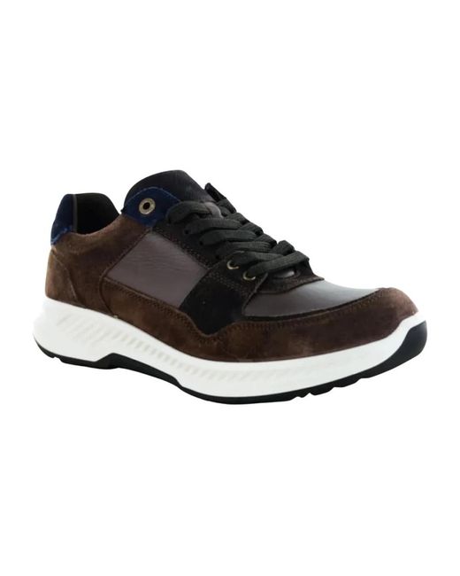 Xsensible Hudson Sneaker in Black für Herren