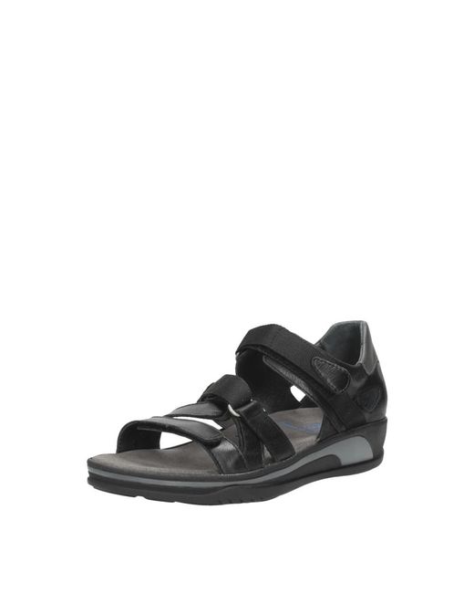 Flat Sandals Wolky en coloris Black