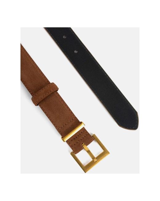 Belts L37 de color Brown