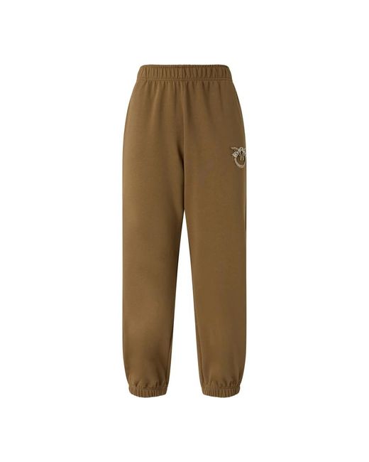 Pinko Broeken ,Bruin ,Plumcake Broek in het Green