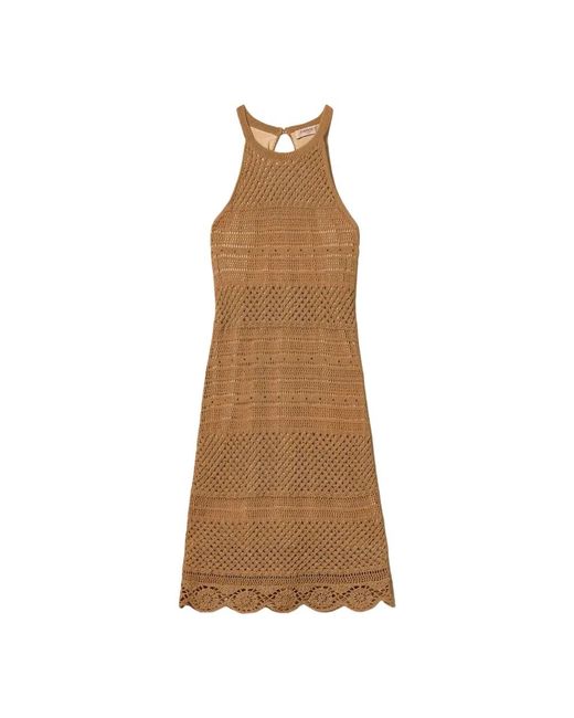 Twinset Brown Knitted Dresses