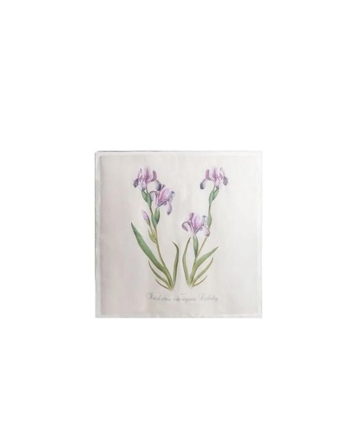 Alberta Ferretti White Silk Scarves