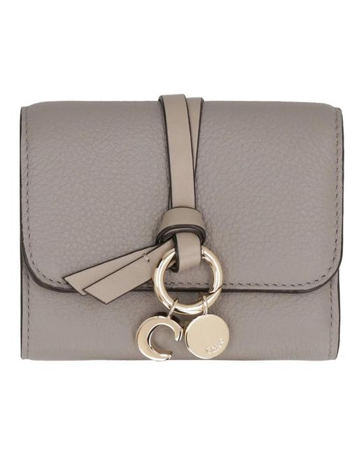 Wallets & Cardholders Chloé de color Gray
