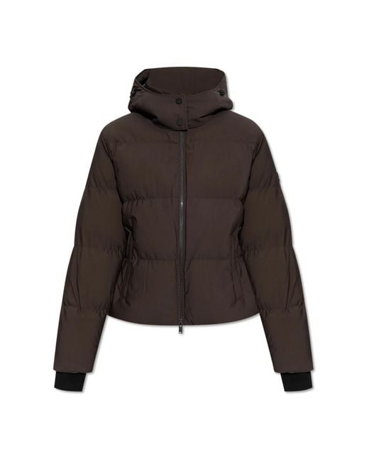 Moose Knuckles Down Jackets in het Black