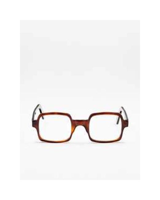 Moli Limo Metallic Glasses