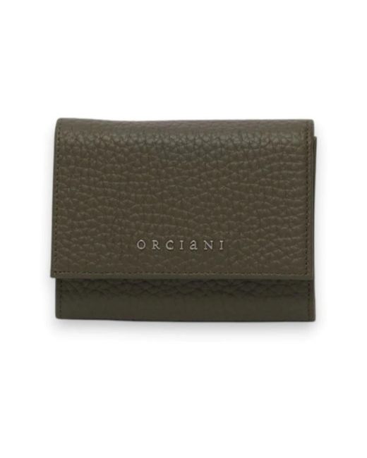 Orciani Green Wallets & Cardholders