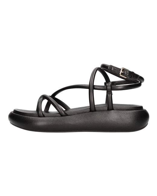 Ash Schoenen ,Zwart ,Sandalen Zwart in het Black