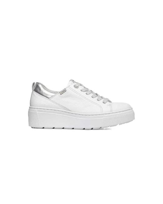 Callaghan White Moon Line