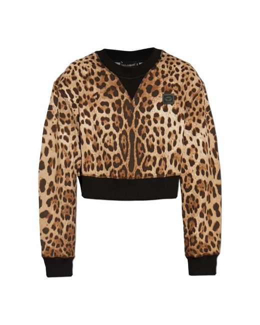 Sweatshirts di Dolce & Gabbana in Brown