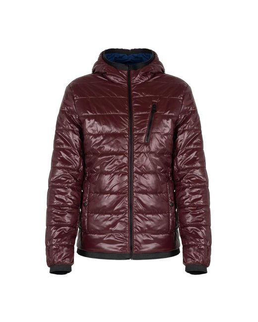 Winter Jackets Geox de hombre de color Purple