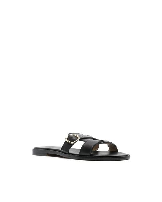 Doucal's Black Sliders