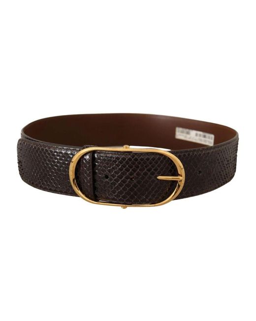 Dolce & Gabbana Brown Luxuriöser pythonledergürtel mit goldener schnalle