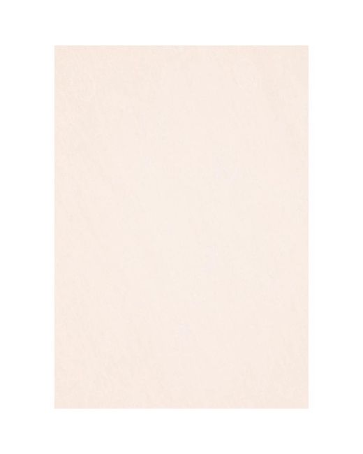 Pinko Natural Scarves