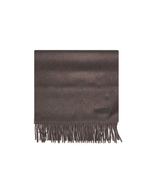 Winter Scarves Zegna de hombre de color Brown