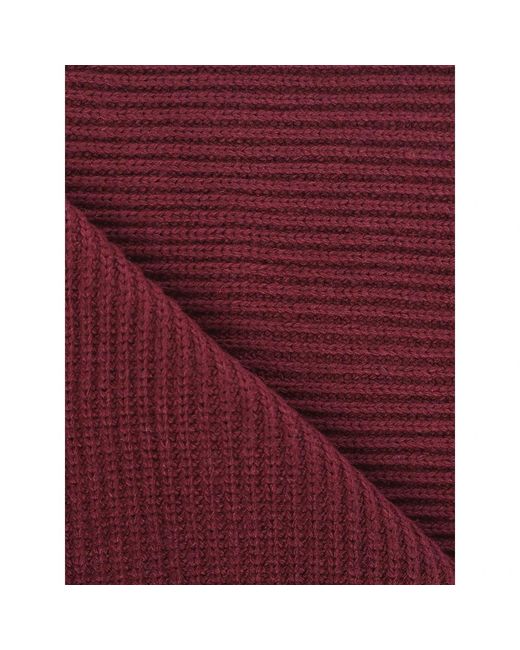 Pinko Purple Winter Scarves