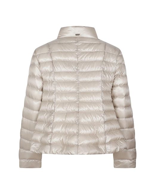 Herno Gray Winter Jackets