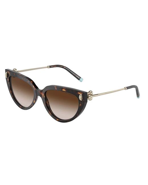 Sunglasses Tiffany & Co de color Brown