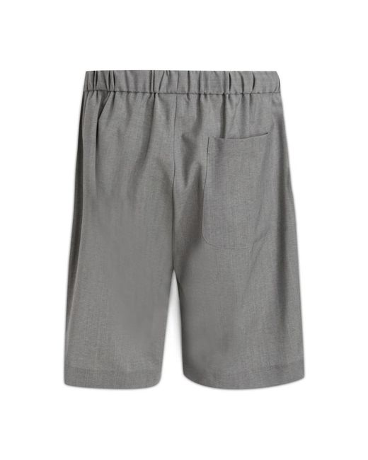 Brian Dales Gray Casual Shorts for men