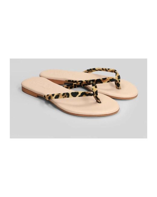 Mc2 Saint Barth Brown Flip Flops