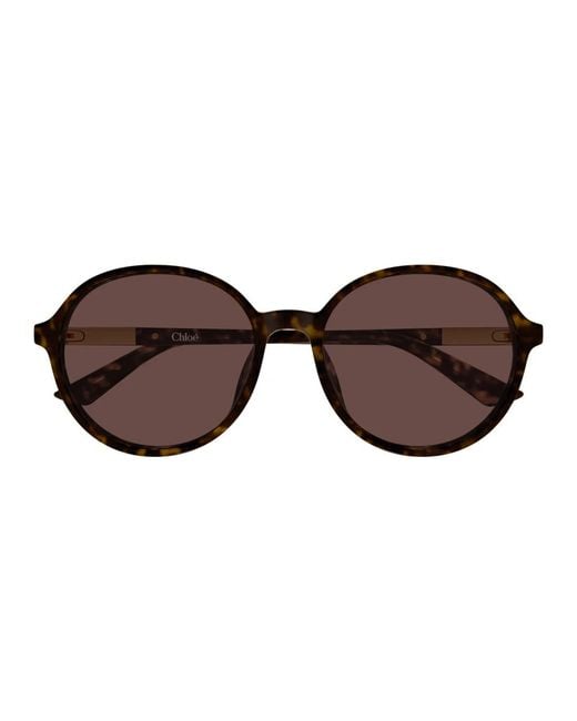 Chloé Brown Sunglasses
