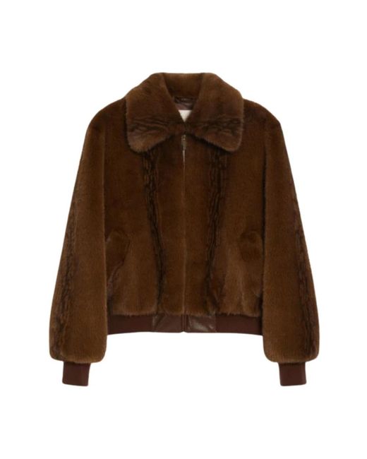 iBlues Winter Jackets in het Brown
