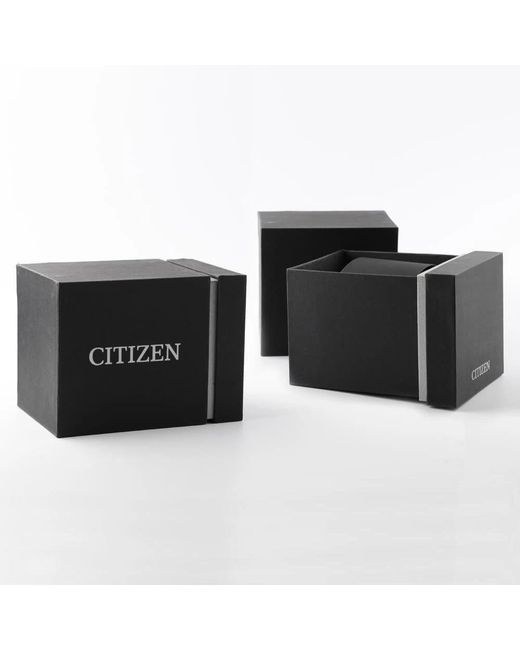 Citizen Metallic Watches