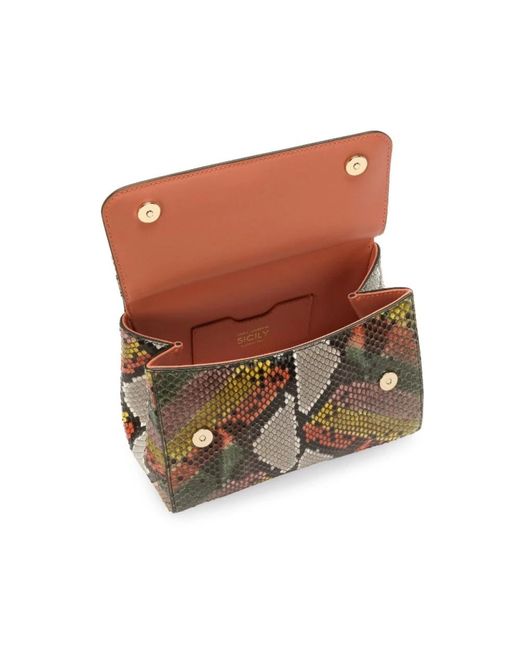 Dolce & Gabbana Brown Handtasche mit schlangenmuster und abnehmbarem riemen