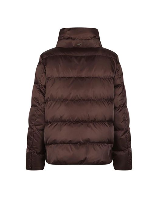 Winter Jackets Herno en coloris Brown