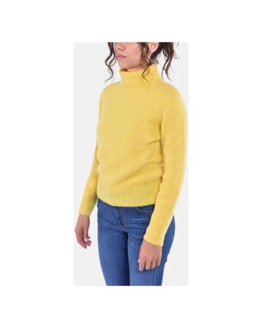 Kangra Yellow Turtlenecks