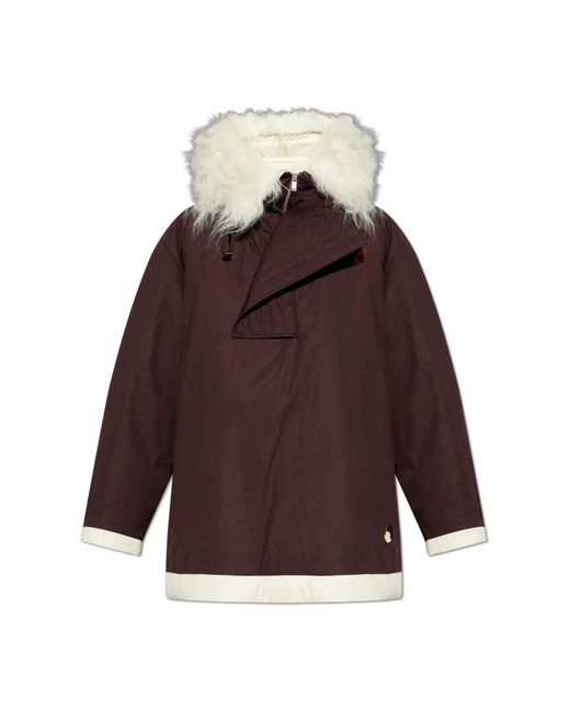 Moncler Jassen ,Bruin ,Katoen Donsparka in het Purple