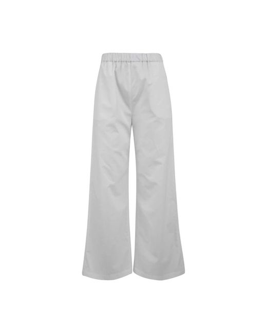 Aspesi Wide Trousers in het Gray
