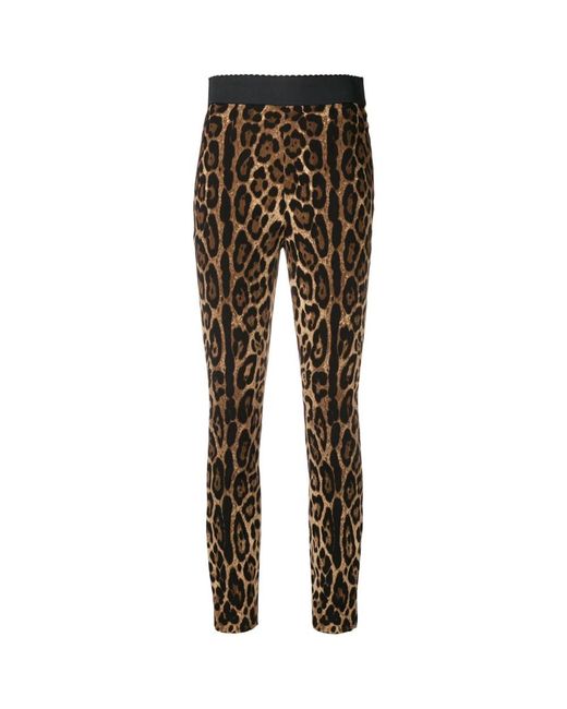 Dolce & Gabbana Brown Leggings