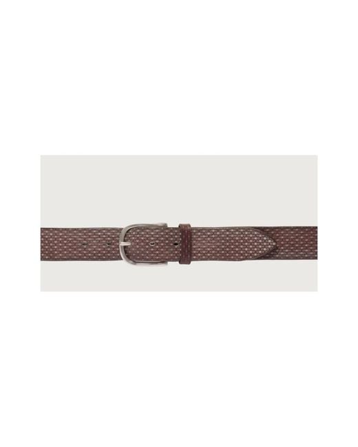 Orciani Brown Belts for men