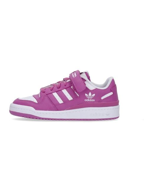 Adidas Purple Sneakers for men