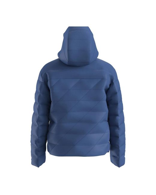 Winter Jackets Boss de hombre de color Blue