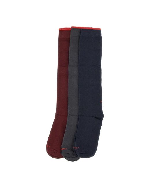 Peuterey Blue Socks for men