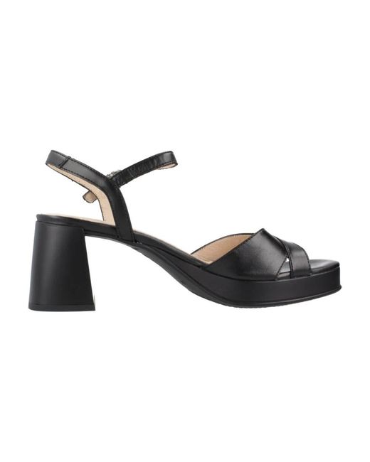 Wonders Black Elegant high heel sandals