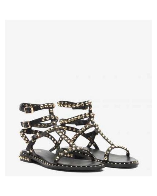 Ash Brown Flat Sandals