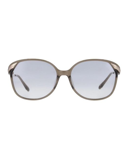 Yellows Plus Brown Sunglasses for men