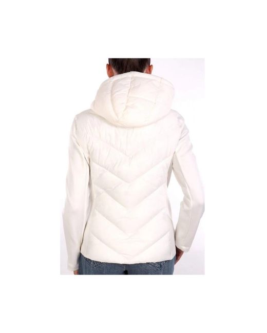 Winter Jackets DKNY de color White